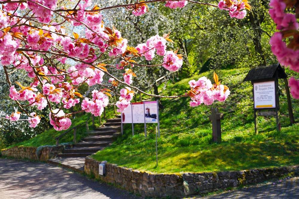 Goldene Aue - Eingang Königspfalz Tilleda