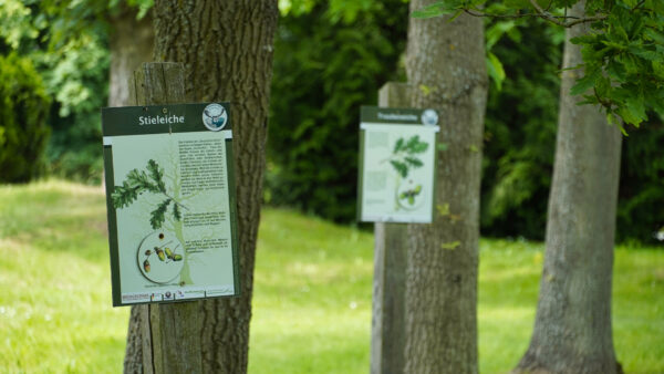 Stadt Mansfeld - OT Annarode - Arboretum Annarode