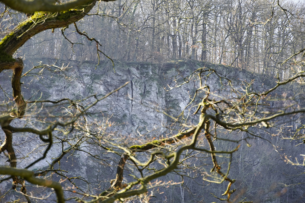 Südharz - Karstwanderweg - Bauerngraben