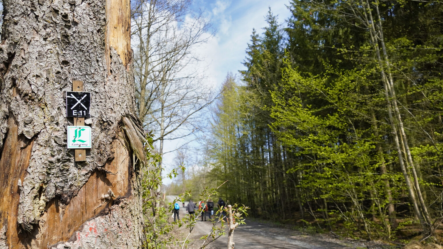 Seegebiet Mansfelder Land - Mansfeld-Südharz Tourismus