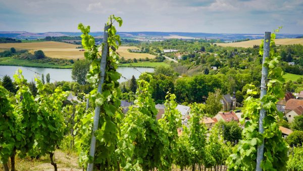 Genuss & Wellness - Mansfeld Südharz / Bindersee Kelterbergblick Weinstraße