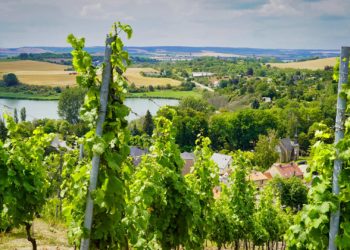 Genuss & Wellness - Mansfeld Südharz / Bindersee Kelterbergblick Weinstraße