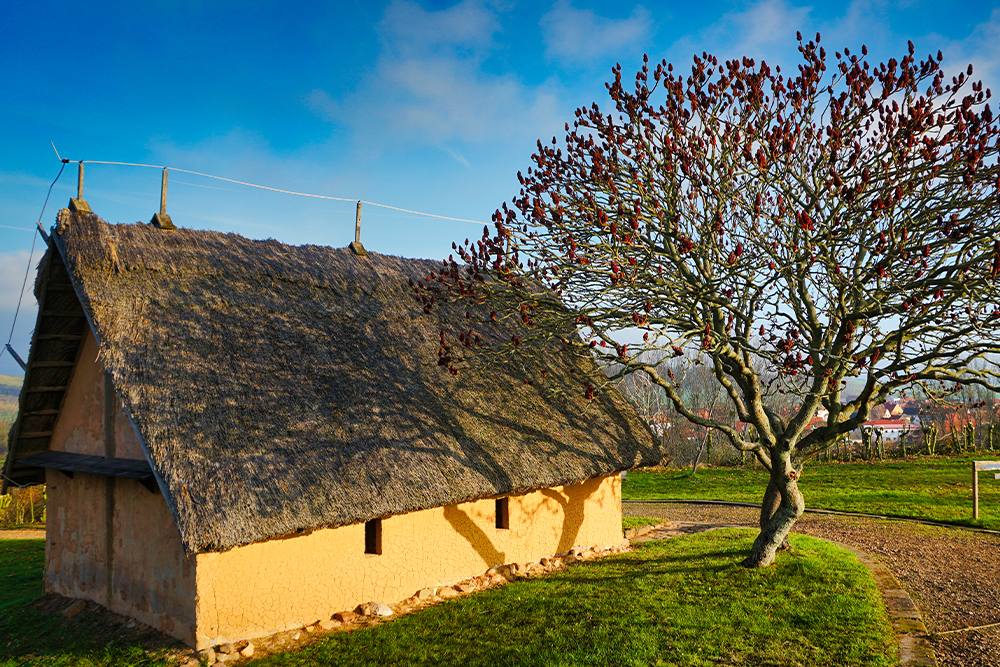 Goldene Aue Freilichtmuseum Königspfalz Tilleda