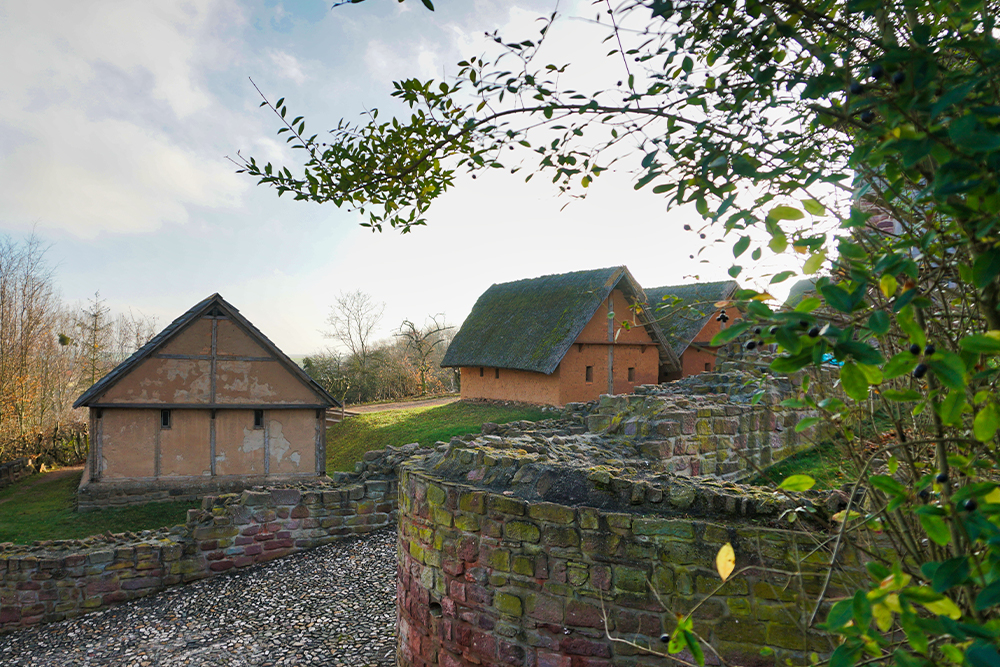 Goldene Aue Freilichtmuseum Königspfalz Tilleda