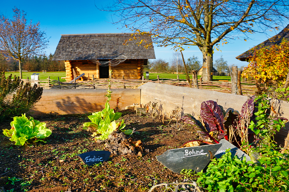 Goldene Aue Freilichtmuseum Königspfalz Tilleda