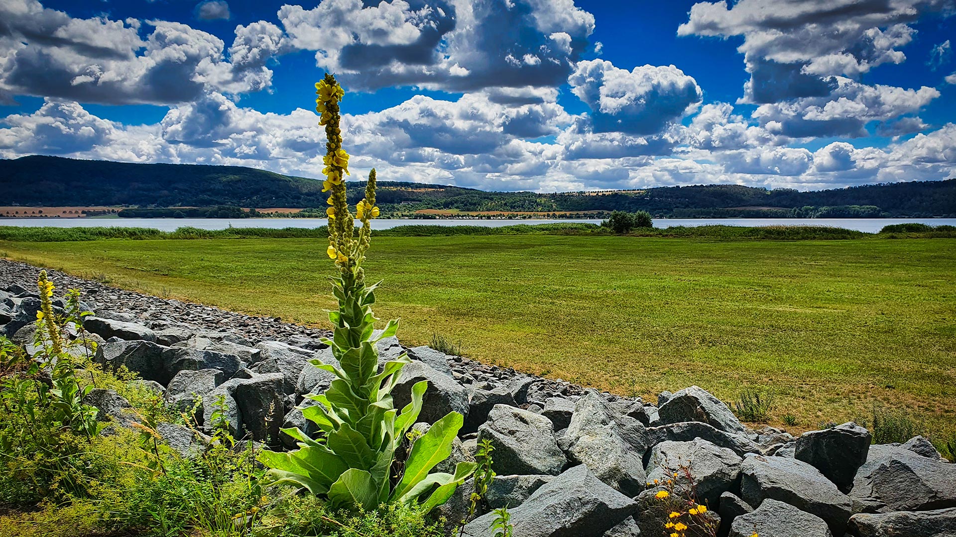 Goldene Aue MansfeldSüdharz Tourismus
