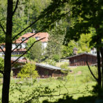 Grillenberg - Harzer Erlebnishof