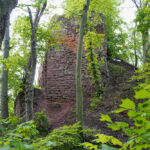 Grillenberg - Ruine Grillenburg
