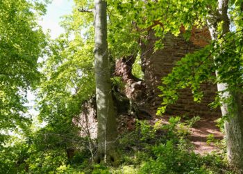 Grillenberg - Ruine Grillenburg