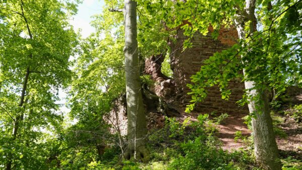 Grillenberg - Ruine Grillenburg