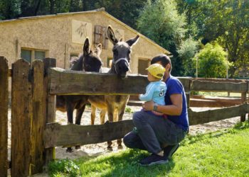 Hettstedt Tierpark Walbeck