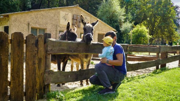 Hettstedt Tierpark Walbeck