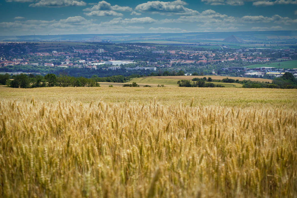Kaiser Otto Höhenweg Blick Butterkuppe Sangerhausen