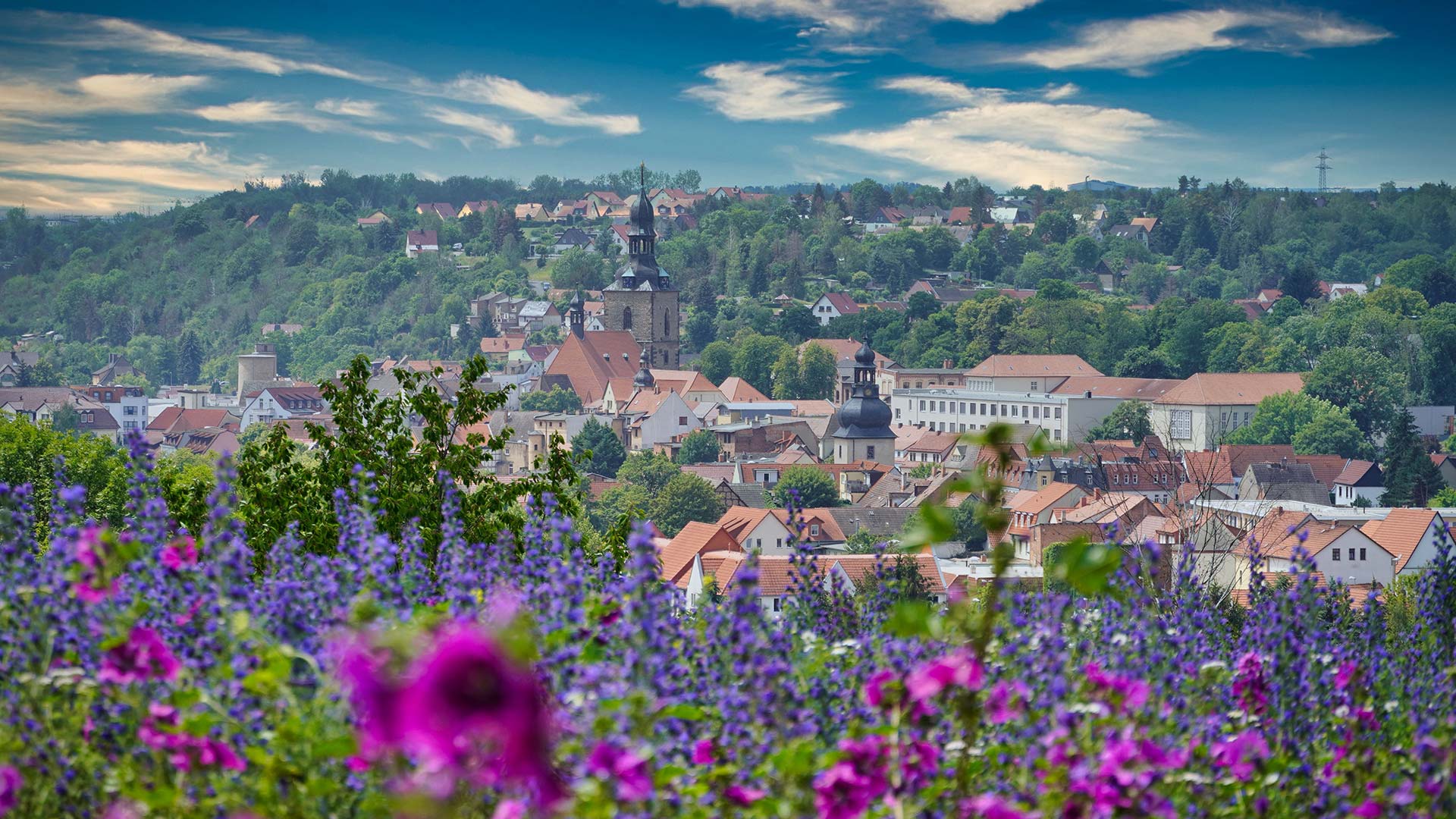 Besucherservice MansfeldSüdharz Tourismus