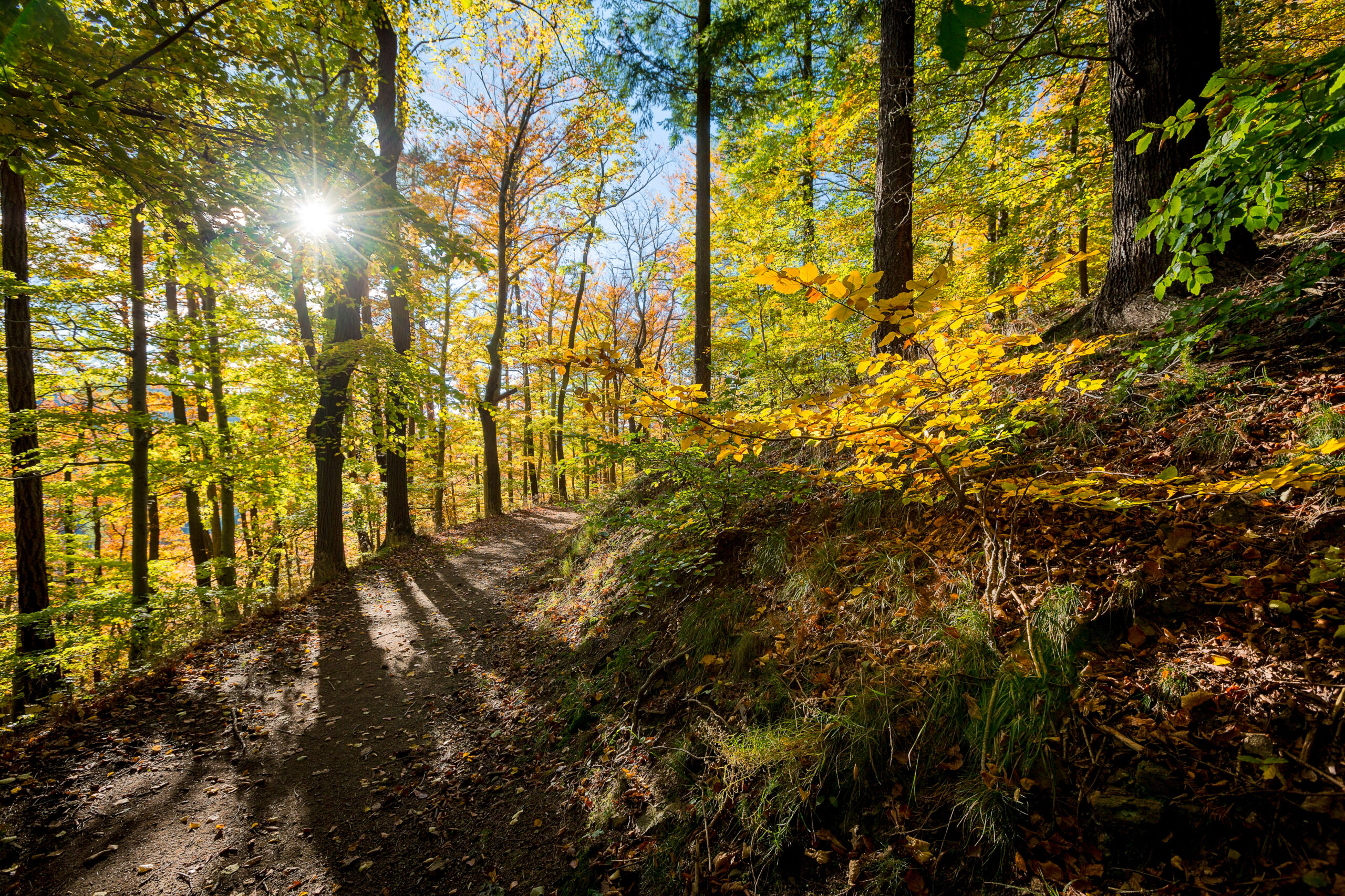 Mansfeld-Südharz - Gästebefragung zur Harzer Wanderregion