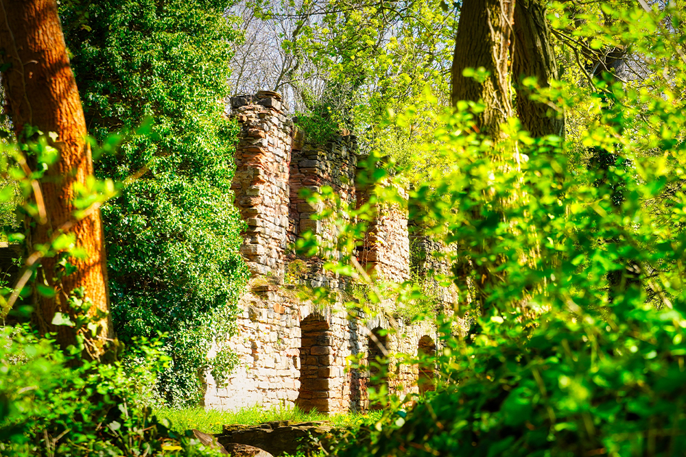 Mansfeld - Burgreste Schloss Mansfeld