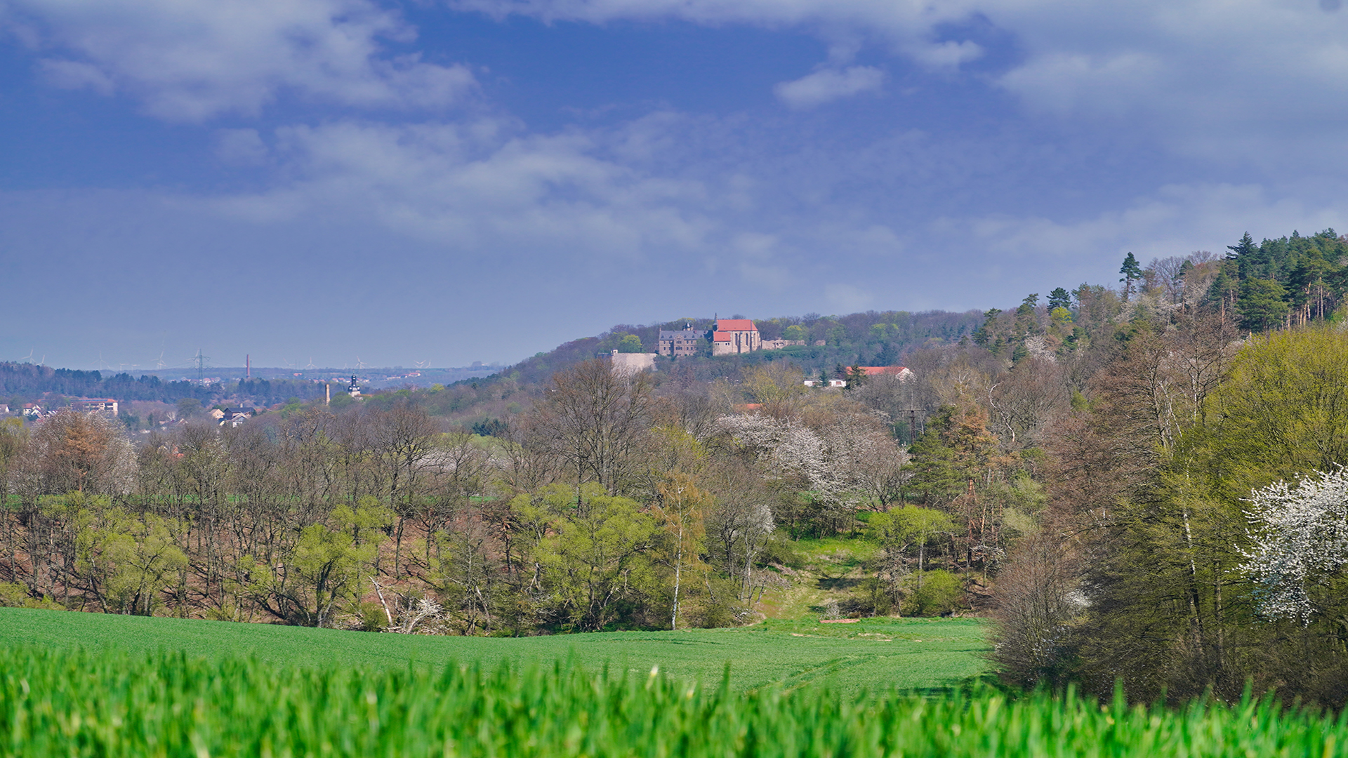 Begegnungsstätte Schloss Mansfeld MansfeldSüdharz Tourismus