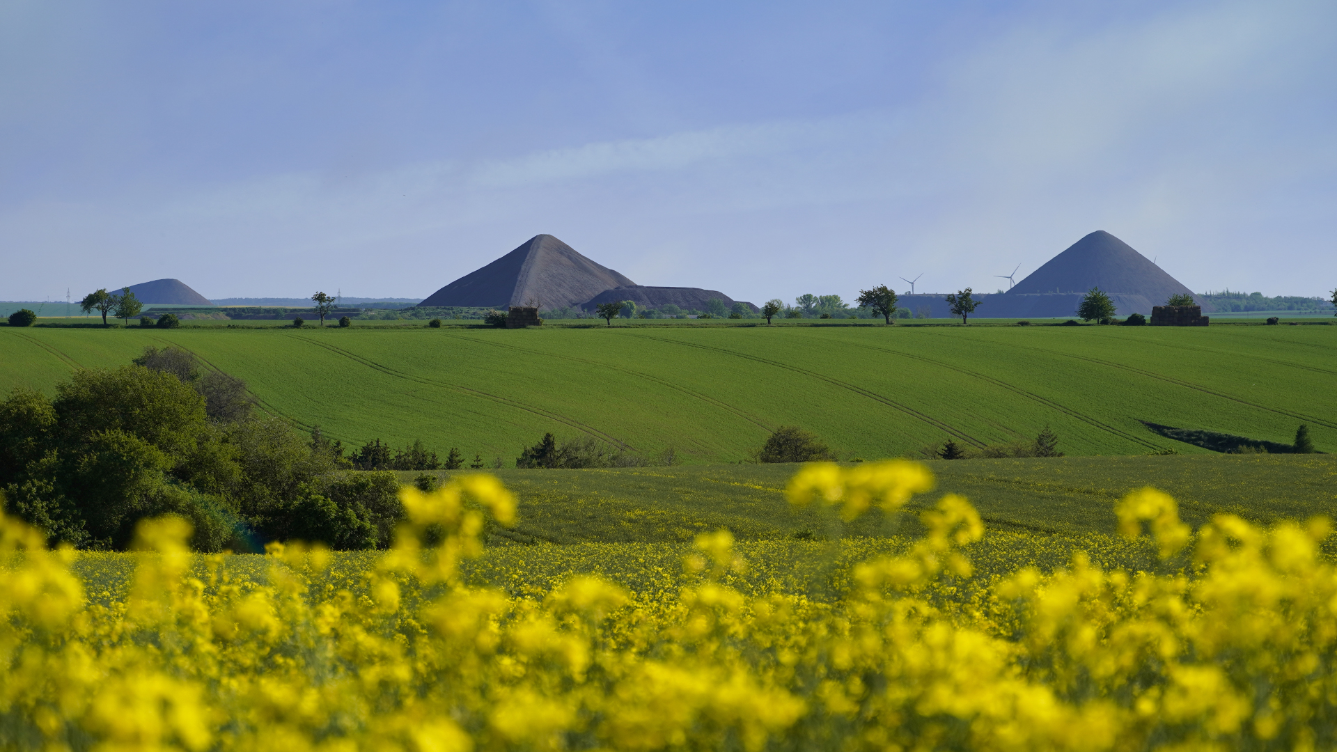 msh.malerisch Natur & Abenteuer MansfeldSüdharz Tourismus