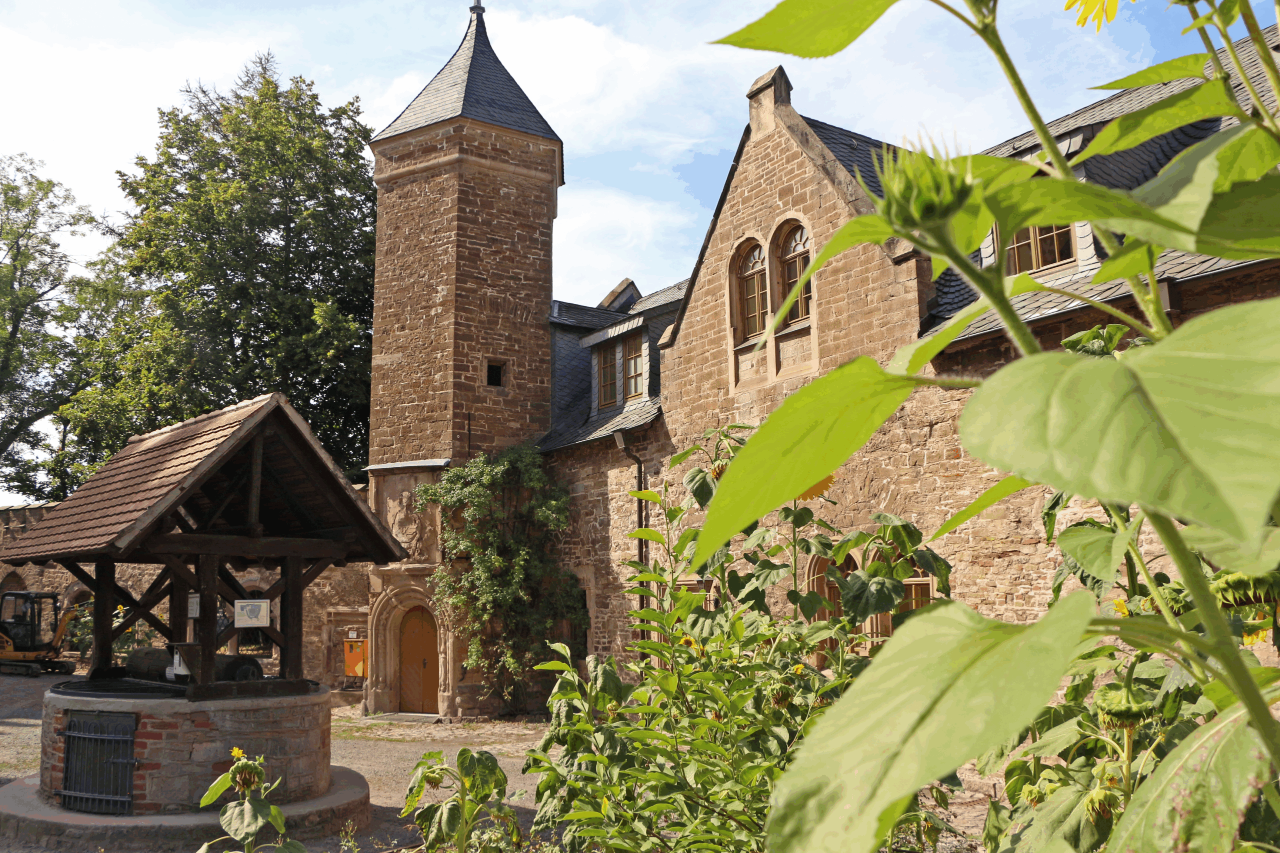 Blick auf Schloss Mansfeld im Sommer