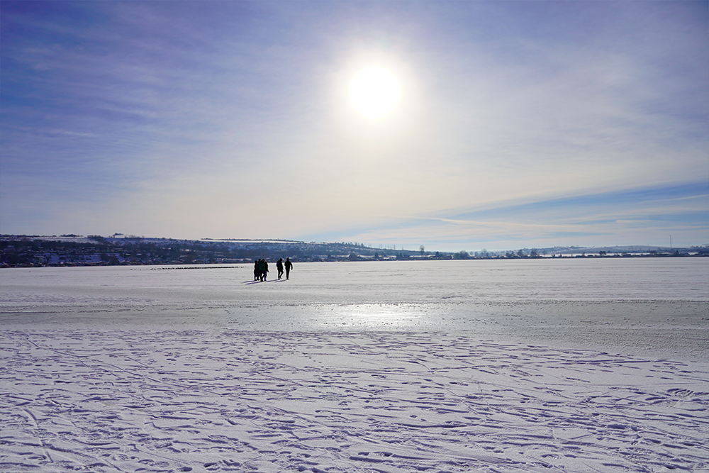 Seegebiet Mansfelder Land - Süßer See Im Winter