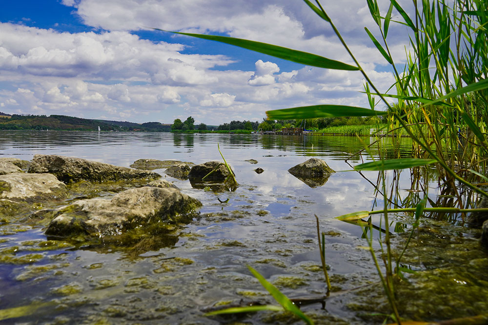 Seegebiet Mansfelder Land - Süßer See bei Aseleben