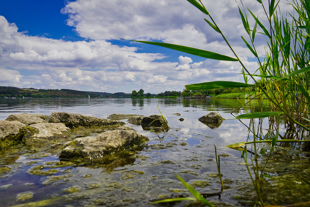 Seegebiet Mansfelder Land - Süßer See bei Aseleben