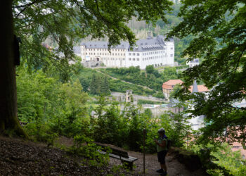 Stolberg (Harz) - Lutherweg und Lutherbuche