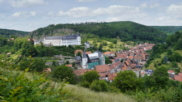 Stolberg (Harz) - Lutherweg und Lutherbuche