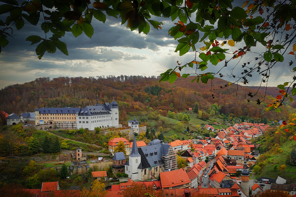Stolberg (Harz) - Lutherbuche Aussicht