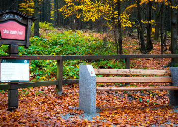 Stolberg (Harz) - Strasse Der Lieder