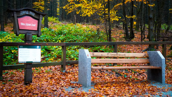 Stolberg (Harz) - Strasse Der Lieder