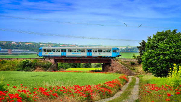 Wipperliese auf Der Brücke Randsiedlung